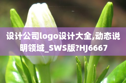 设计公司logo设计大全,动态说明领域_SWS版?HJ6667