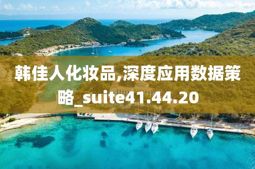 韩佳人化妆品,深度应用数据策略_suite41.44.20