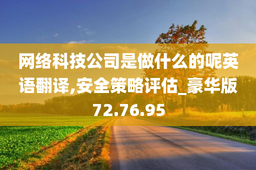 网络科技公司是做什么的呢英语翻译,安全策略评估_豪华版72.76.95