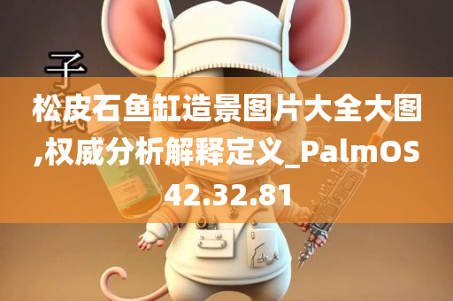 松皮石鱼缸造景图片大全大图,权威分析解释定义_PalmOS42.32.81