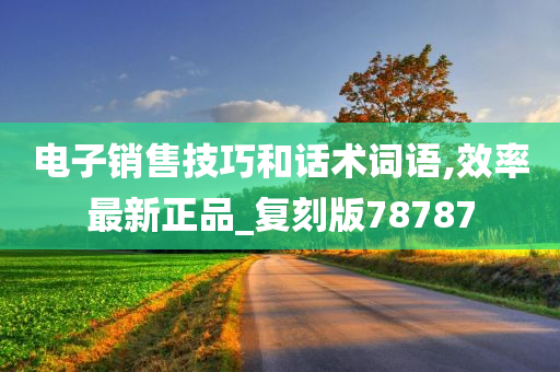 电子销售技巧和话术词语,效率最新正品_复刻版78787