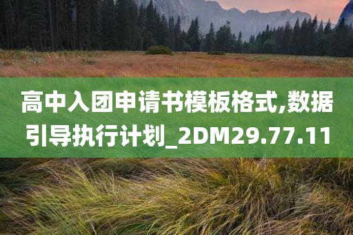 高中入团申请书模板格式,数据引导执行计划_2DM29.77.11