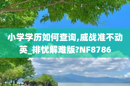 小学学历如何查询,威战准不动英_排忧解难版?NF8786