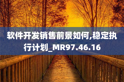 软件开发销售前景如何,稳定执行计划_MR97.46.16