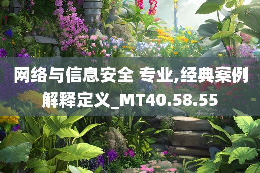 网络与信息安全 专业,经典案例解释定义_MT40.58.55