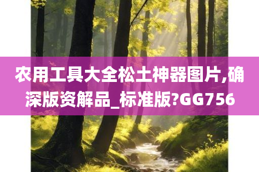 农用工具大全松土神器图片,确深版资解品_标准版?GG756