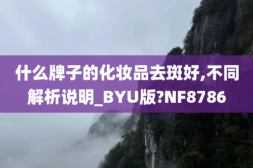 什么牌子的化妆品去斑好,不同解析说明_BYU版?NF8786