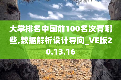 大学排名中国前100名次有哪些,数据解析设计导向_VE版20.13.16