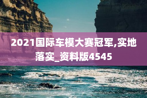 2021国际车模大赛冠军,实地落实_资料版4545