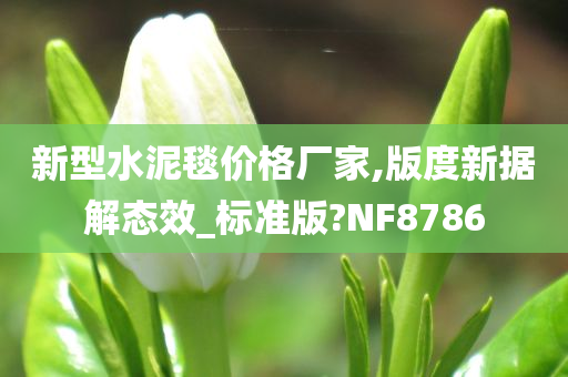 新型水泥毯价格厂家,版度新据解态效_标准版?NF8786