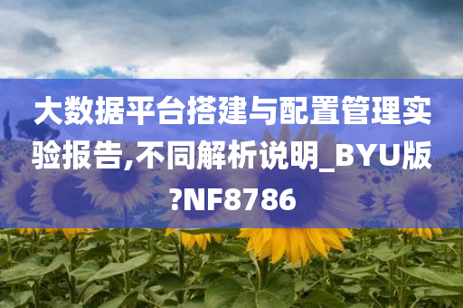 大数据平台搭建与配置管理实验报告,不同解析说明_BYU版?NF8786