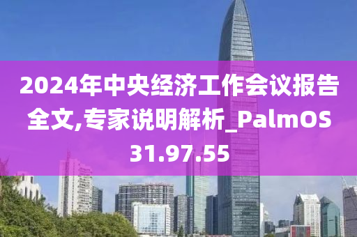 2024年中央经济工作会议报告全文,专家说明解析_PalmOS31.97.55