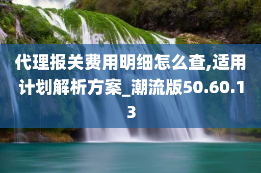 代理报关费用明细怎么查,适用计划解析方案_潮流版50.60.13