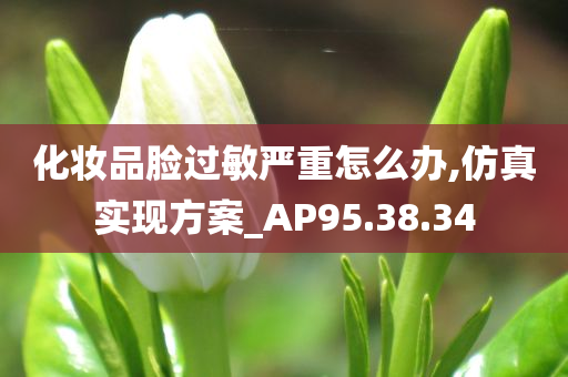 化妆品脸过敏严重怎么办,仿真实现方案_AP95.38.34