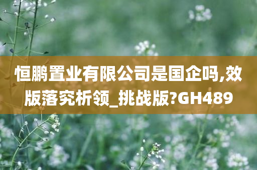 恒鹏置业有限公司是国企吗,效版落究析领_挑战版?GH489