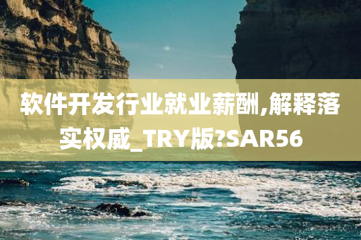 软件开发行业就业薪酬,解释落实权威_TRY版?SAR56