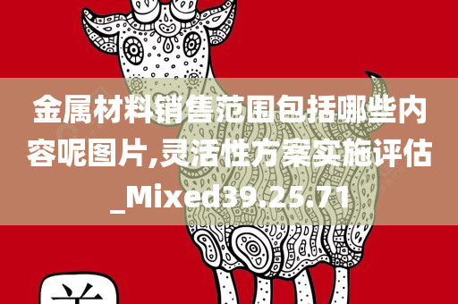 金属材料销售范围包括哪些内容呢图片,灵活性方案实施评估_Mixed39.25.71