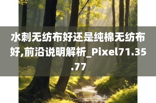 水刺无纺布好还是纯棉无纺布好,前沿说明解析_Pixel71.35.77