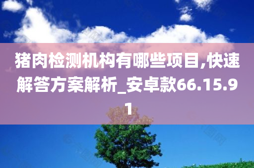 猪肉检测机构有哪些项目,快速解答方案解析_安卓款66.15.91