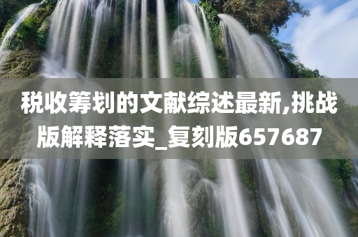 税收筹划的文献综述最新,挑战版解释落实_复刻版657687