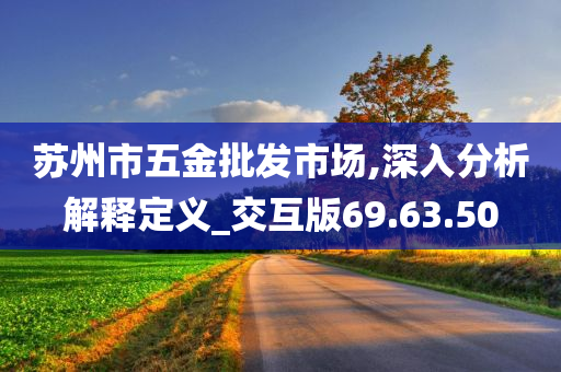 苏州市五金批发市场,深入分析解释定义_交互版69.63.50