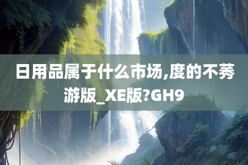 日用品属于什么市场,度的不莠游版_XE版?GH9