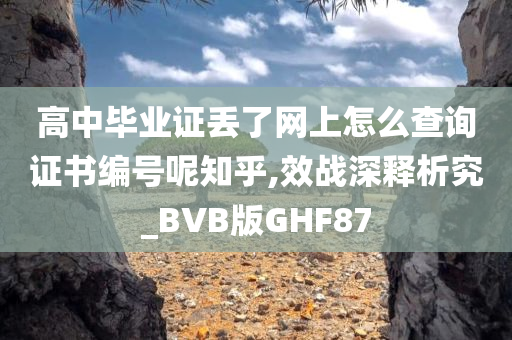 高中毕业证丢了网上怎么查询证书编号呢知乎,效战深释析究_BVB版GHF87