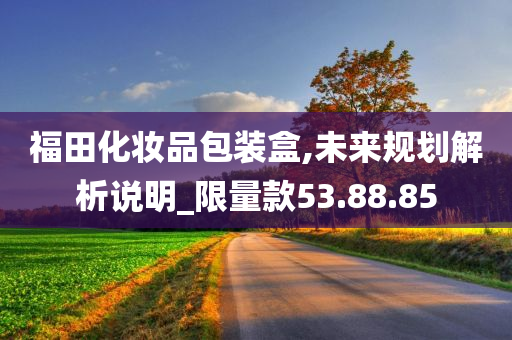 福田化妆品包装盒,未来规划解析说明_限量款53.88.85