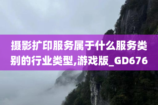 摄影扩印服务属于什么服务类别的行业类型,游戏版_GD676