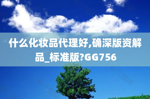 什么化妆品代理好,确深版资解品_标准版?GG756