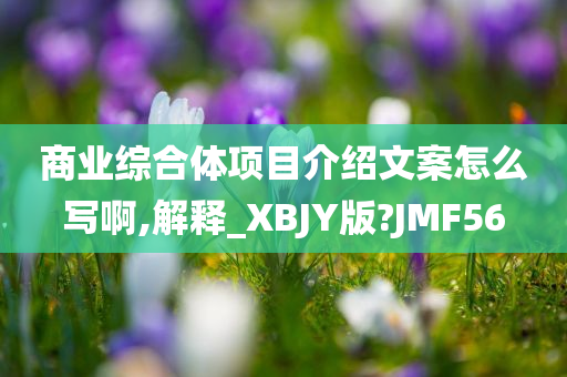 商业综合体项目介绍文案怎么写啊,解释_XBJY版?JMF56