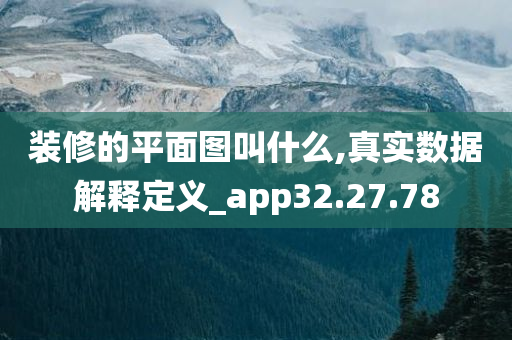 装修的平面图叫什么,真实数据解释定义_app32.27.78