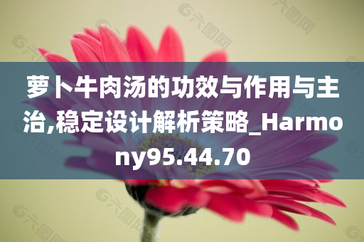 萝卜牛肉汤的功效与作用与主治,稳定设计解析策略_Harmony95.44.70