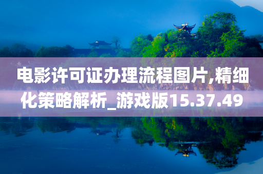 电影许可证办理流程图片,精细化策略解析_游戏版15.37.49