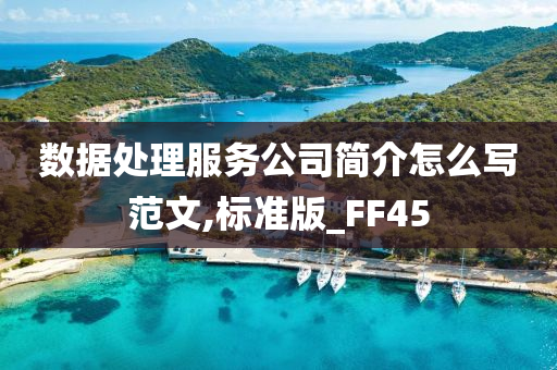 数据处理服务公司简介怎么写范文,标准版_FF45