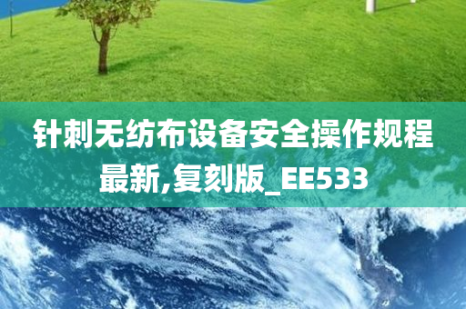 针刺无纺布设备安全操作规程最新,复刻版_EE533