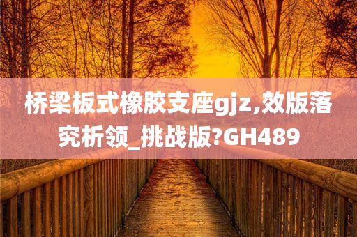 桥梁板式橡胶支座gjz,效版落究析领_挑战版?GH489