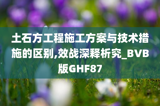 土石方工程施工方案与技术措施的区别,效战深释析究_BVB版GHF87