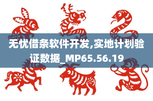 无忧借条软件开发,实地计划验证数据_MP65.56.19