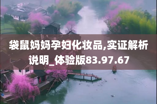 袋鼠妈妈孕妇化妆品,实证解析说明_体验版83.97.67