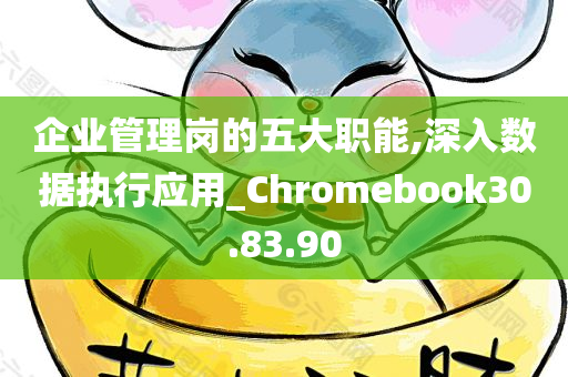 企业管理岗的五大职能,深入数据执行应用_Chromebook30.83.90