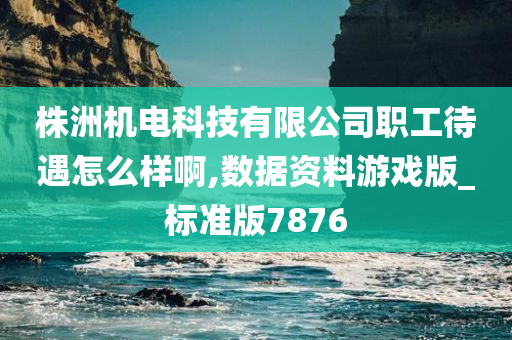 株洲机电科技有限公司职工待遇怎么样啊,数据资料游戏版_标准版7876