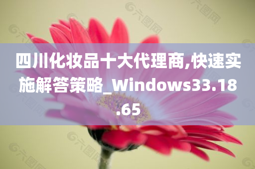 四川化妆品十大代理商,快速实施解答策略_Windows33.18.65