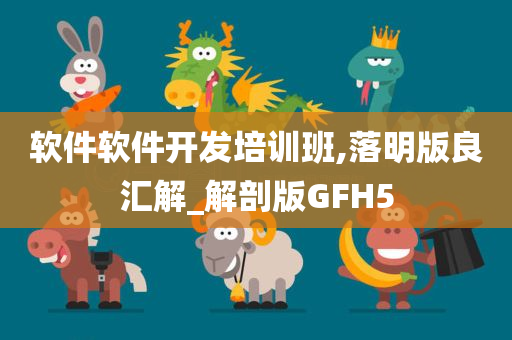 软件软件开发培训班,落明版良汇解_解剖版GFH5