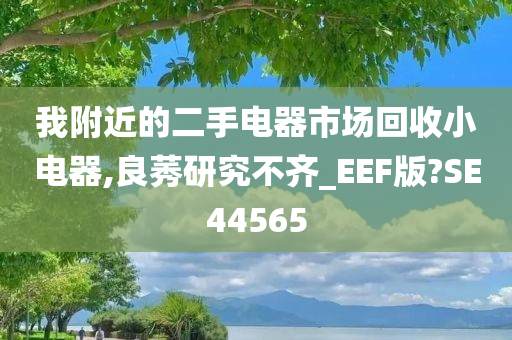 我附近的二手电器市场回收小电器,良莠研究不齐_EEF版?SE44565