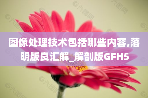 图像处理技术包括哪些内容,落明版良汇解_解剖版GFH5