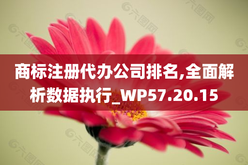 商标注册代办公司排名,全面解析数据执行_WP57.20.15