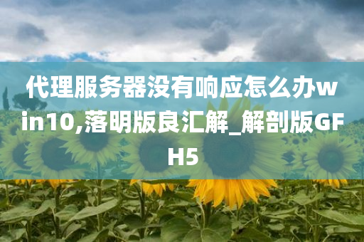 代理服务器没有响应怎么办win10,落明版良汇解_解剖版GFH5