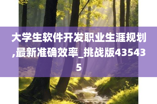 大学生软件开发职业生涯规划,最新准确效率_挑战版435435