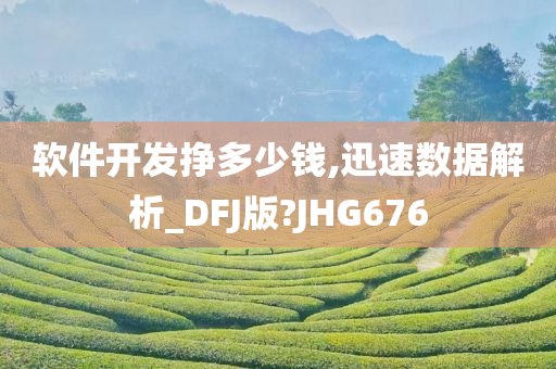 软件开发挣多少钱,迅速数据解析_DFJ版?JHG676